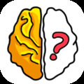 Brain Out